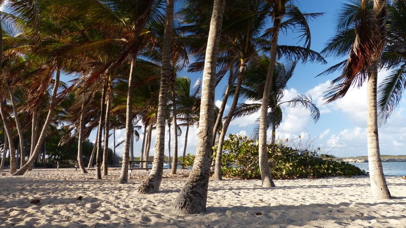 Plage de Petite Terre